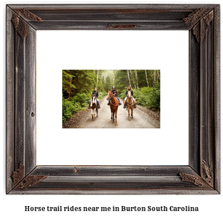 horse trail rides near me in Burton, South Carolina